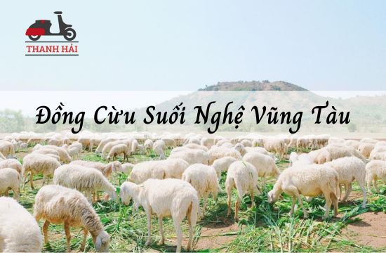 Review Đồng Cừu Suối Nghệ - Điểm check in Vũng Tàu hot 2025