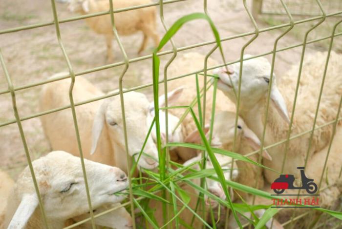 Suối khoáng nóng Bình Châu - Điểm du lịch cuối tuần gần TPHCM