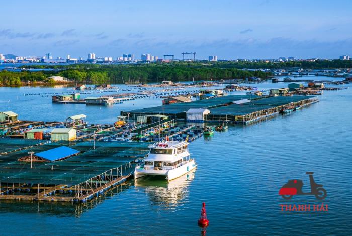Đến Làng Bè Long Sơn Vũng Tàu thưởng thức hải sản tươi ngon